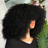 Afro Kinky Curly Wigs Human Hair Wear And Go 400 Density 13×6/360 HD Transparent Lace Wigs 100% Human Hair Pre Plucked For Women