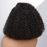 20 inches Hd Lace Wig Afro Kinky Curly Wig Afro Hair Wigs Transparent for Black Human Hair Mongolian Natural Lace Front wig